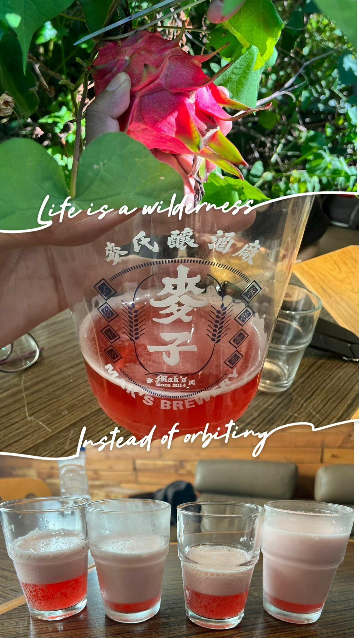 ⚠️突發⚠️ 麥子 x 先鋒田「蛇頭農尾」火龍果啤酒🧧🪭🏮 - undefined