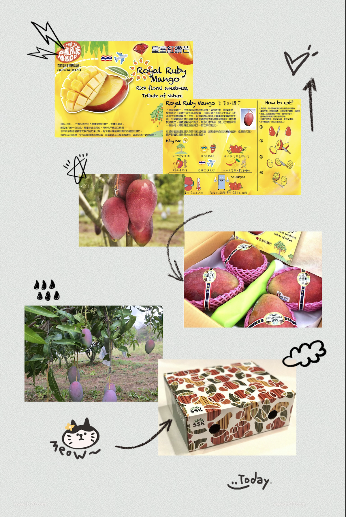 ⚠️突發！泰國正宗皇室紅鑽芒果🥭⚠️ - undefined