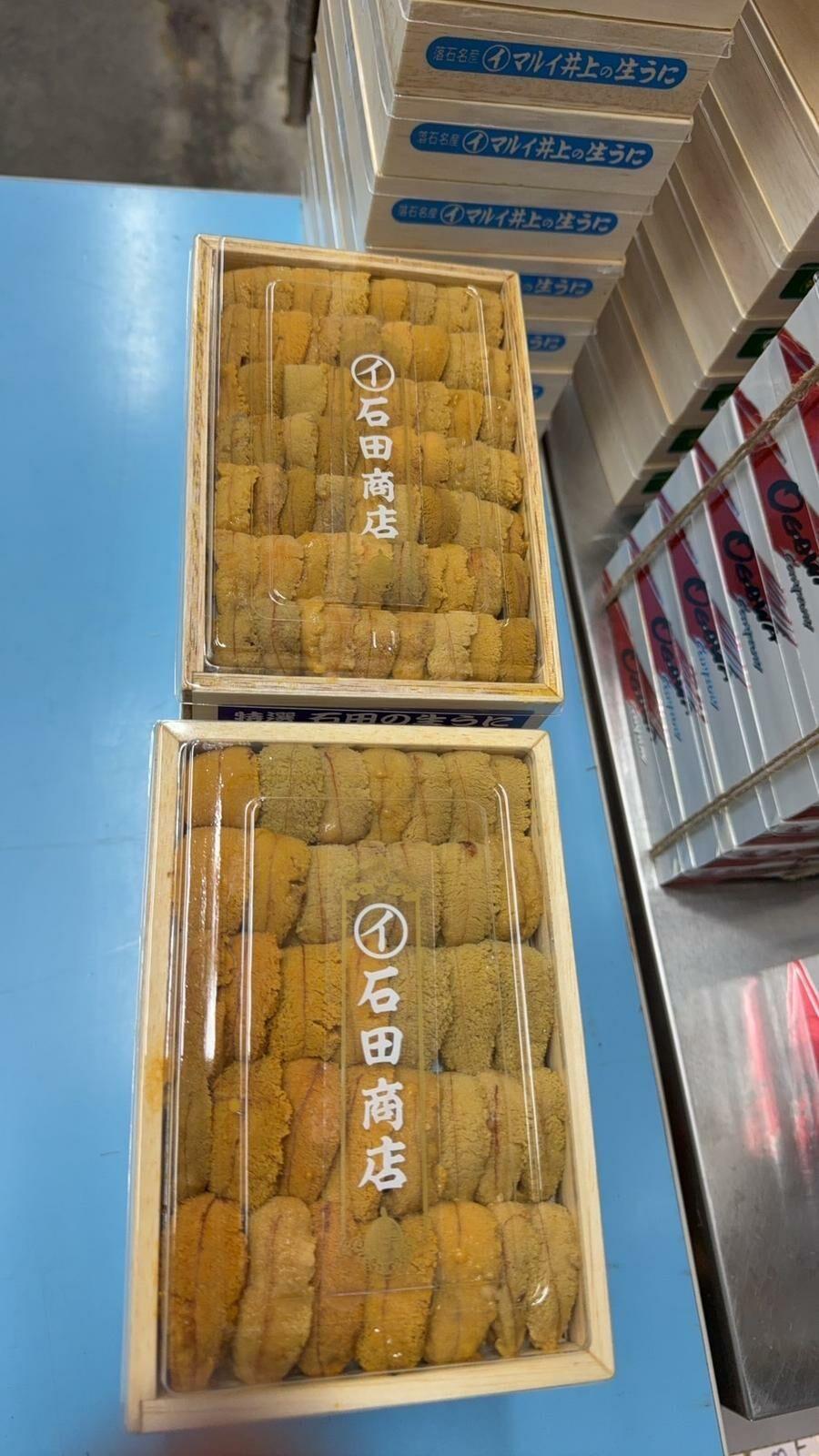 日本北海道海膽直送（預訂） - undefined