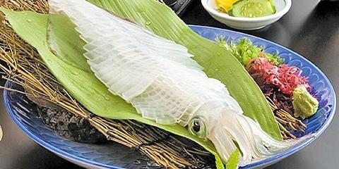日本烏賊 玄界灘 劍先烏賊(已切) - 產品圖片 1 - undefined